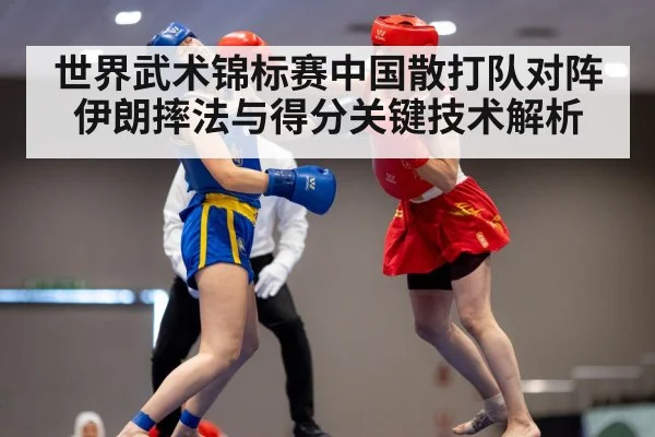 wushu sanda fighters competition